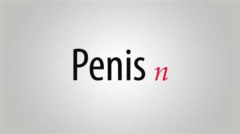 penes|Penis Definition & Meaning